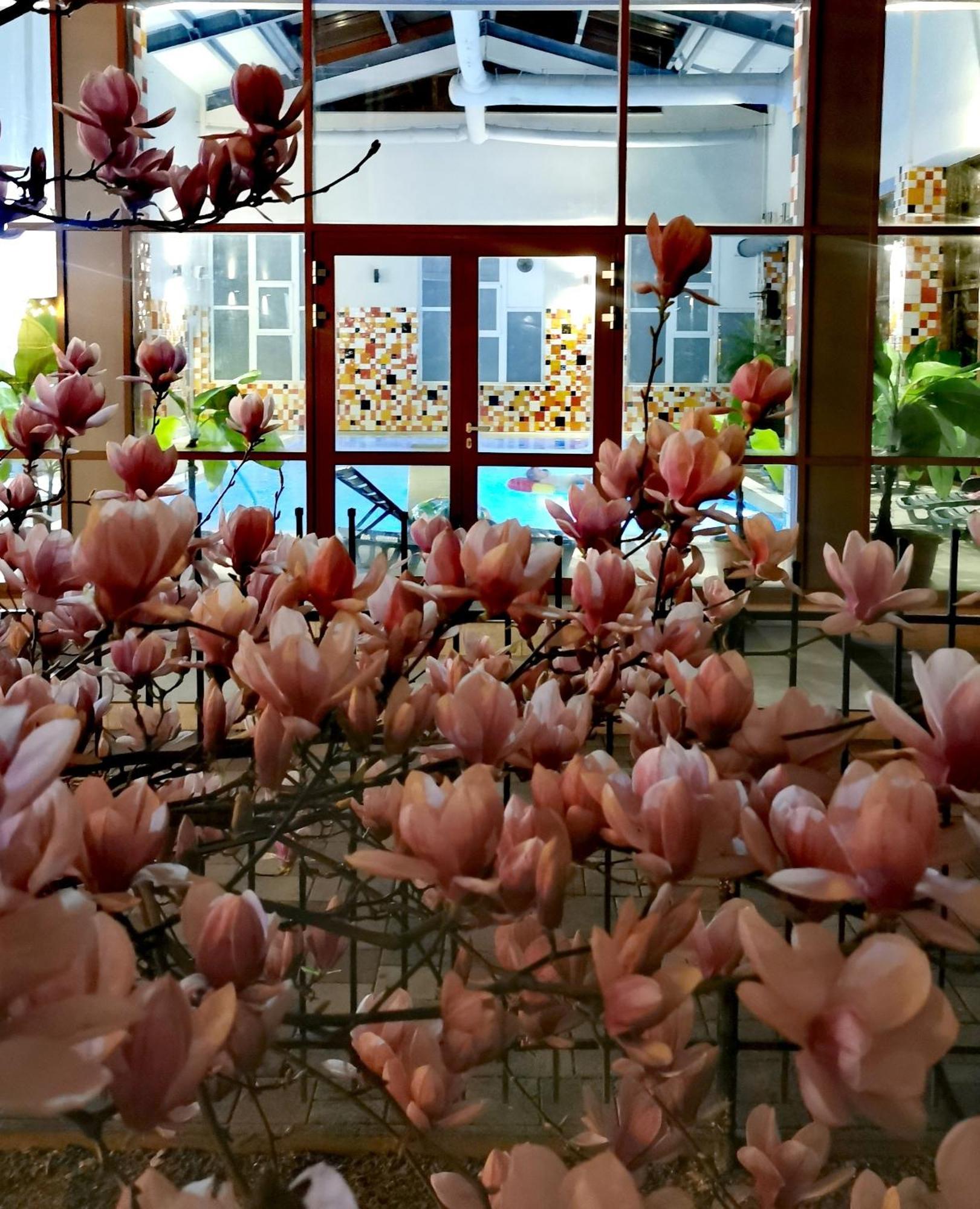 Metropol Hotel Félixfürdő Kültér fotó